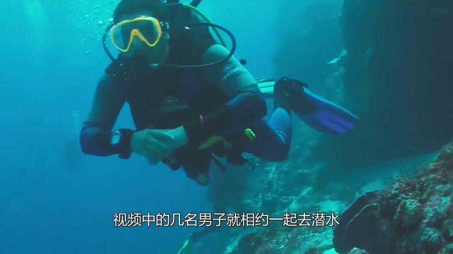 万王之王3D