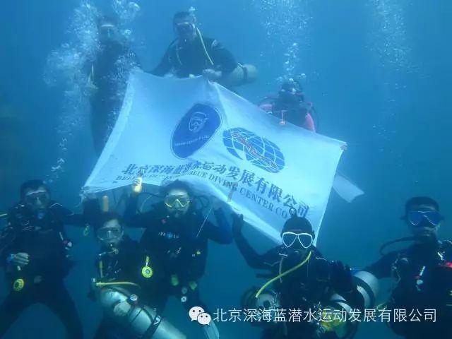 救援小蝙蝠
